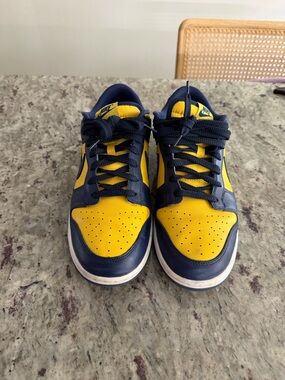 Nike Dunk Low Michigan 10.5